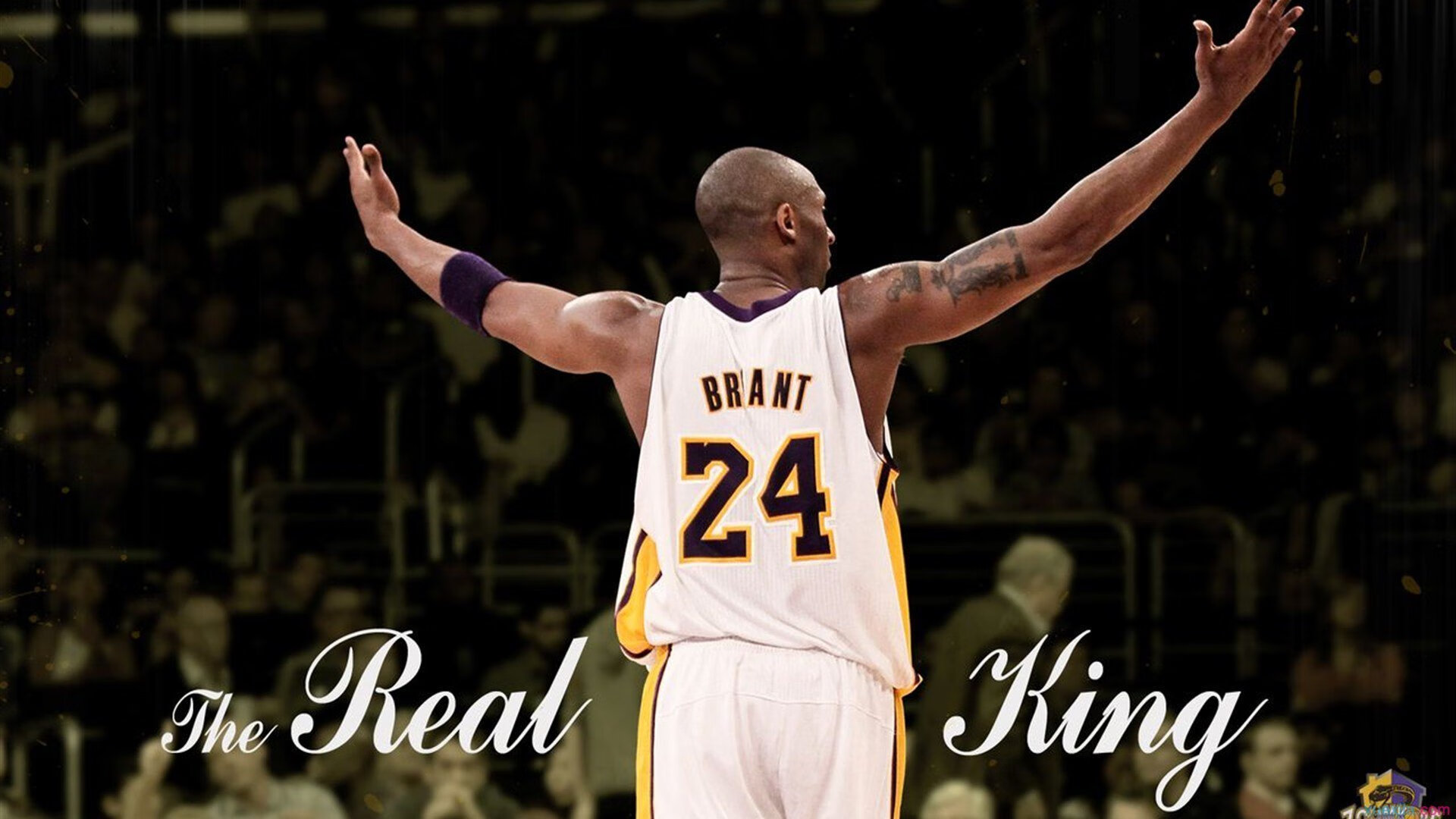 国家队集训基地全面升级，硬件水平大幅提升，国家集训队是干嘛的